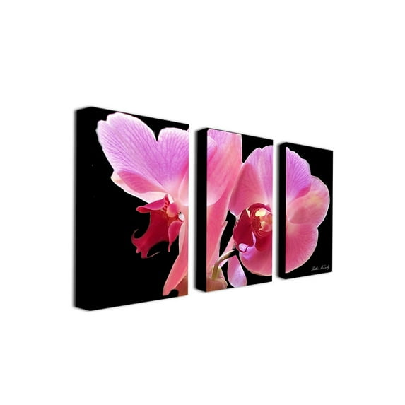 Trademark Art "Orchid" Canvas Art by Kathie McCurdy 3-Panel Set