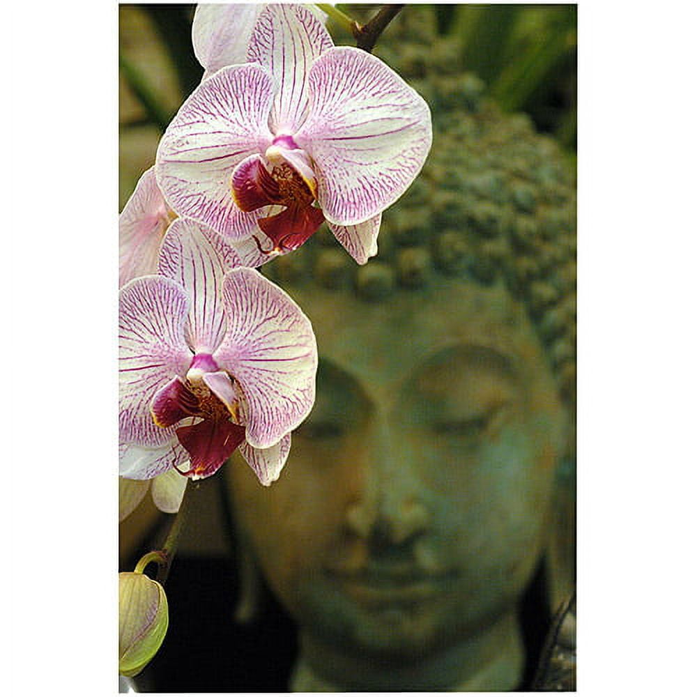 Trademark Art "Orchids and Buddha" Canvas Art by Kurt Shaffer, 18x24