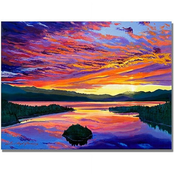 Trademark Art "Paint Brush Sky" Canvas Wall Art by David Lloyd Glover