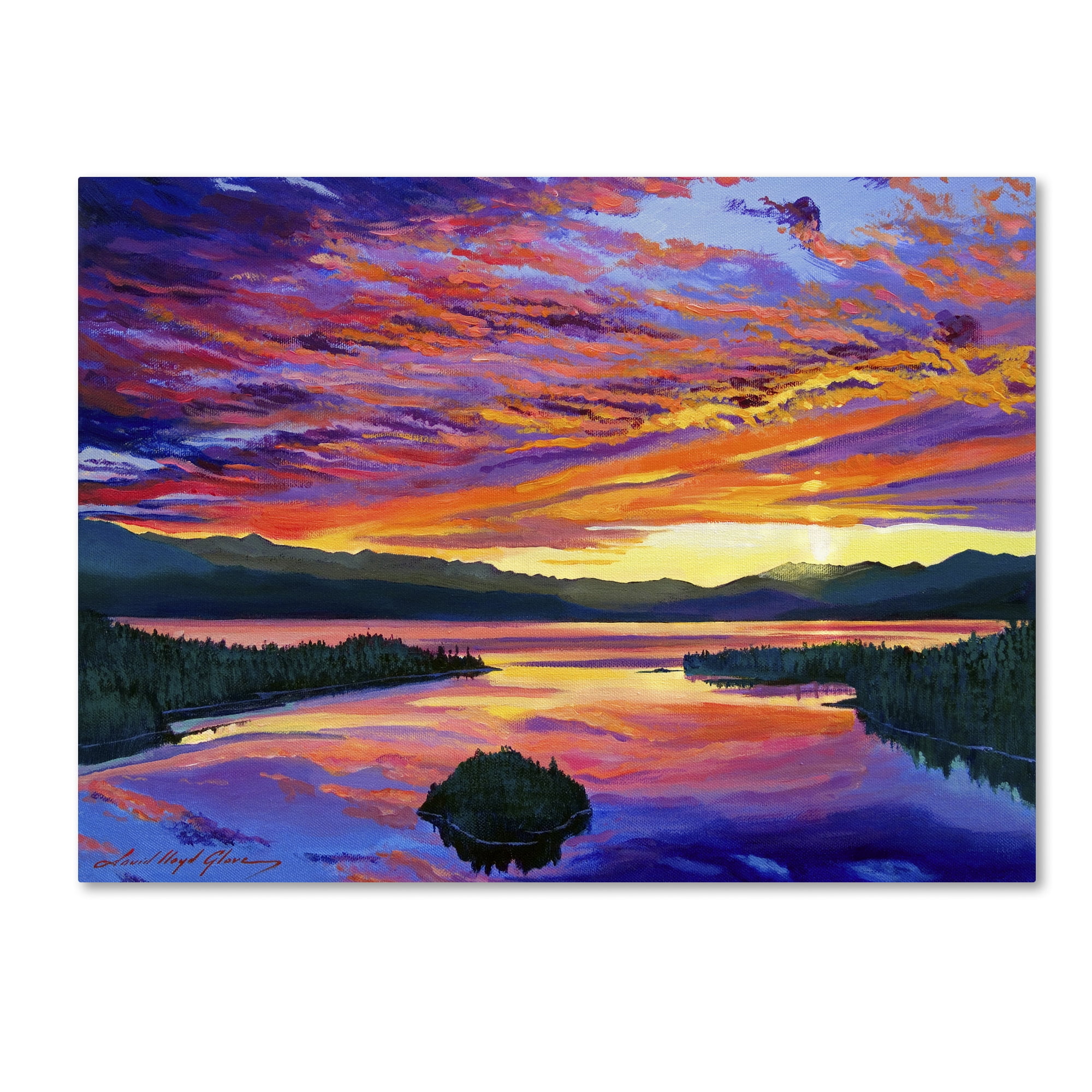 Trademark Art "Paint Brush Sky" Canvas Wall Art by David Lloyd Glover