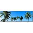 thumbnail image 1 of Trademark Art "Palms" Canvas Art by Preston, 1 of 2