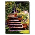 thumbnail image 1 of Trademark Art "Pink Faisies Wooden Steps" Canvas Wall Art by David Lloyd Glover, 1 of 3