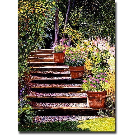Trademark Art "Pink Faisies Wooden Steps" Canvas Wall Art by David Lloyd Glover