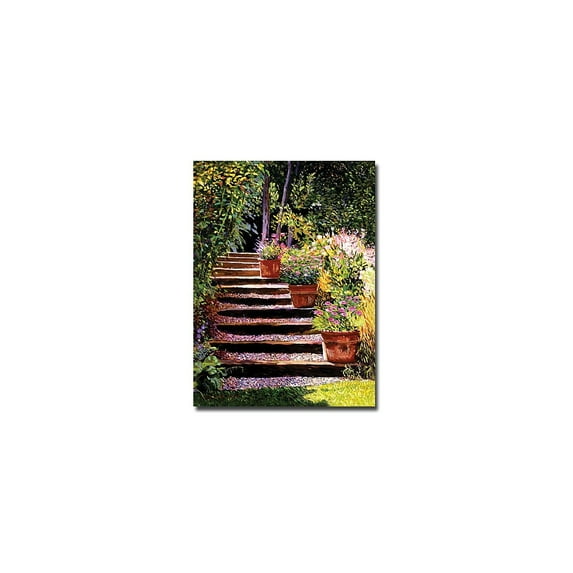 Trademark Art "Pink Faisies Wooden Steps" Canvas Wall Art by David Lloyd Glover