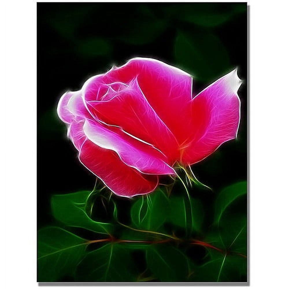 Trademark Art "Pink Rose Abstract" Canvas Wall Art by Kathie McCurdy