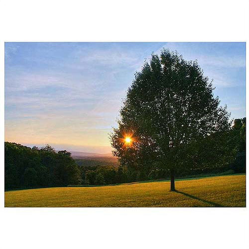 Trademark Art "Poetry of Nature" Canvas Art by CATeyes