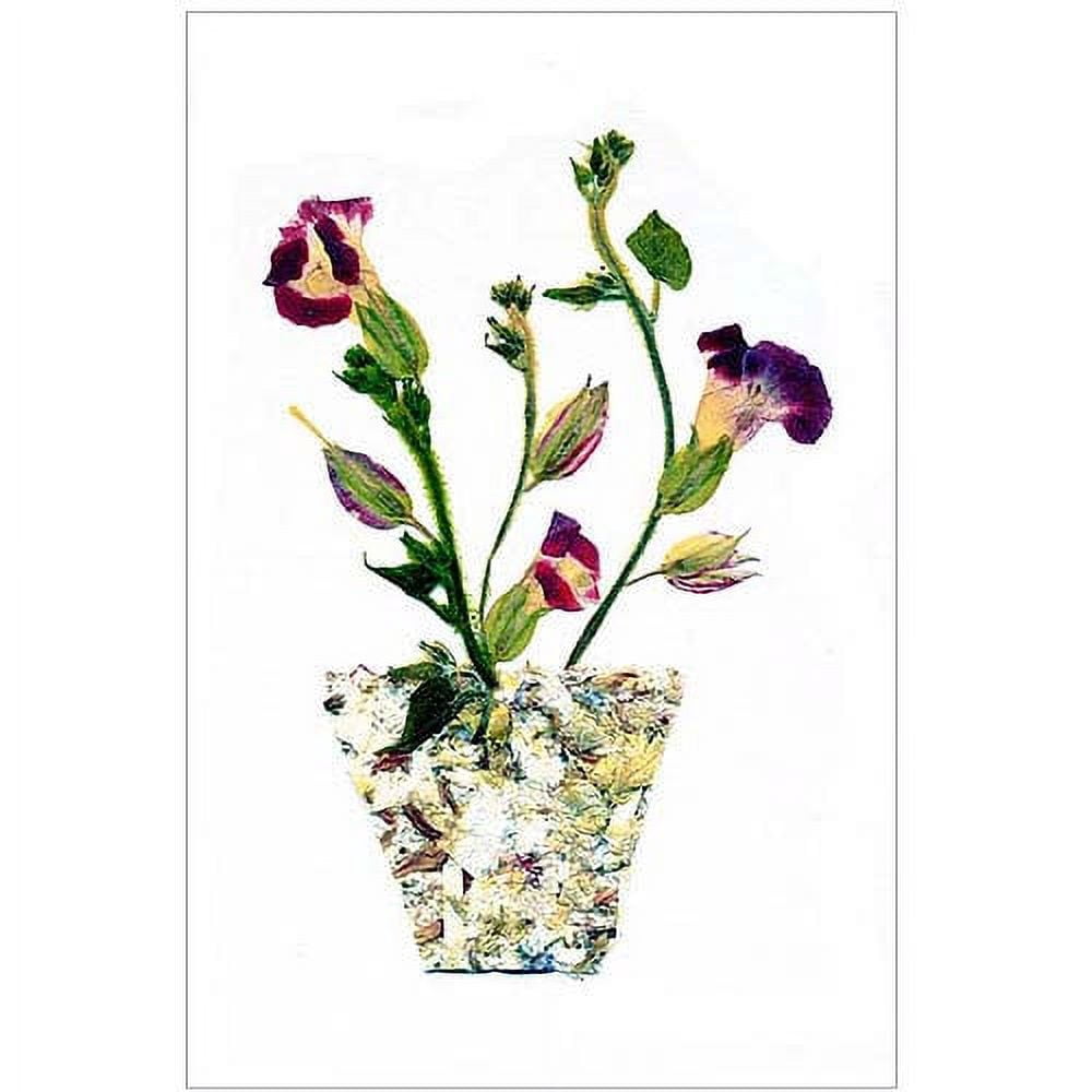 Trademark Art "Pot of Wishes" Canvas Art by Kathie McCurdy, 16x24