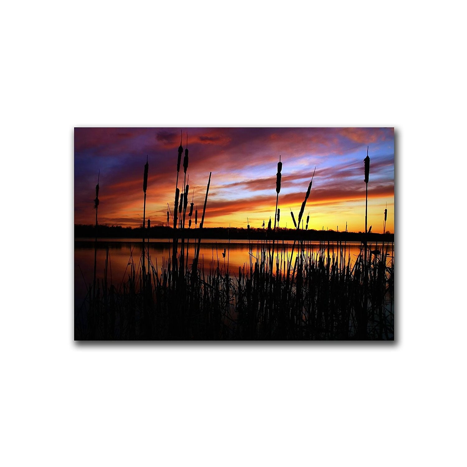 Trademark Art "Principles" Canvas Art by CATeyes