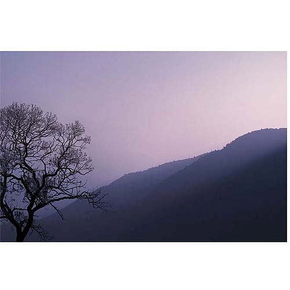 Trademark Art "Purple Hours" Canvas Art by Philippe Sainte-Laudy