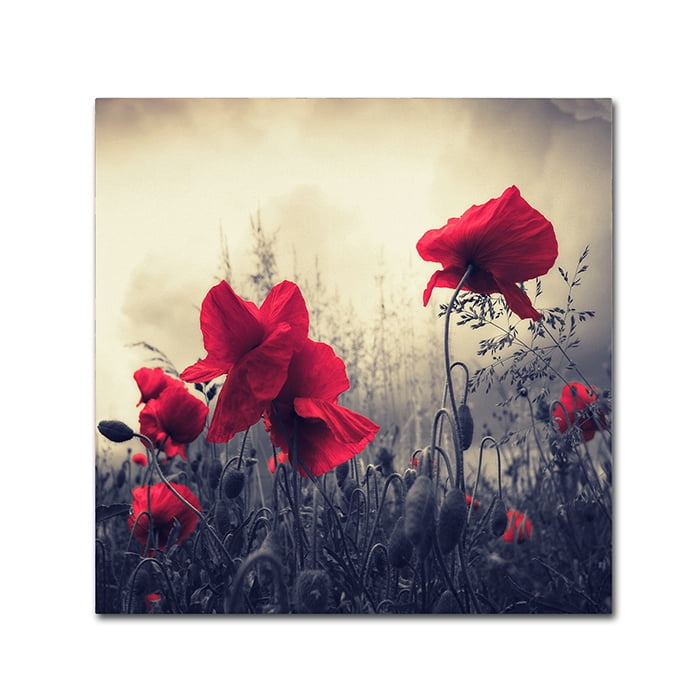 Trademark Art "Red For Love" Canvas Wall Art by Philippe Sainte-Laudy