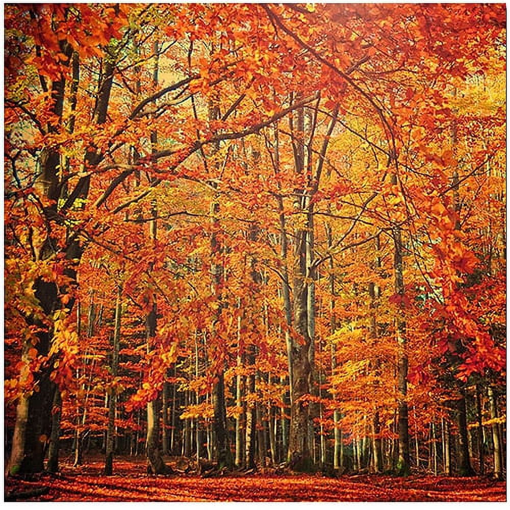 Trademark Art "Red November" Canvas Wall Art by Philippe Sainte-Laudy