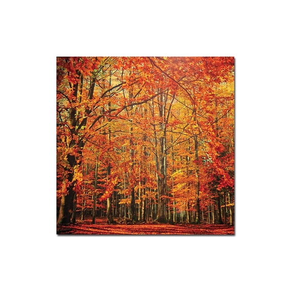 Trademark Art "Red November" Canvas Wall Art by Philippe Sainte-Laudy
