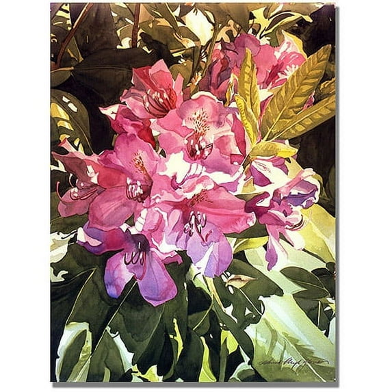 Trademark Art "Royal Rhododendrons" Canvas Wall Art by David Lloyd Glover