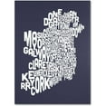 thumbnail image 1 of Trademark Art 'SLATE-Ireland Text Map' Canvas Art by Michael Tompsett, 1 of 3