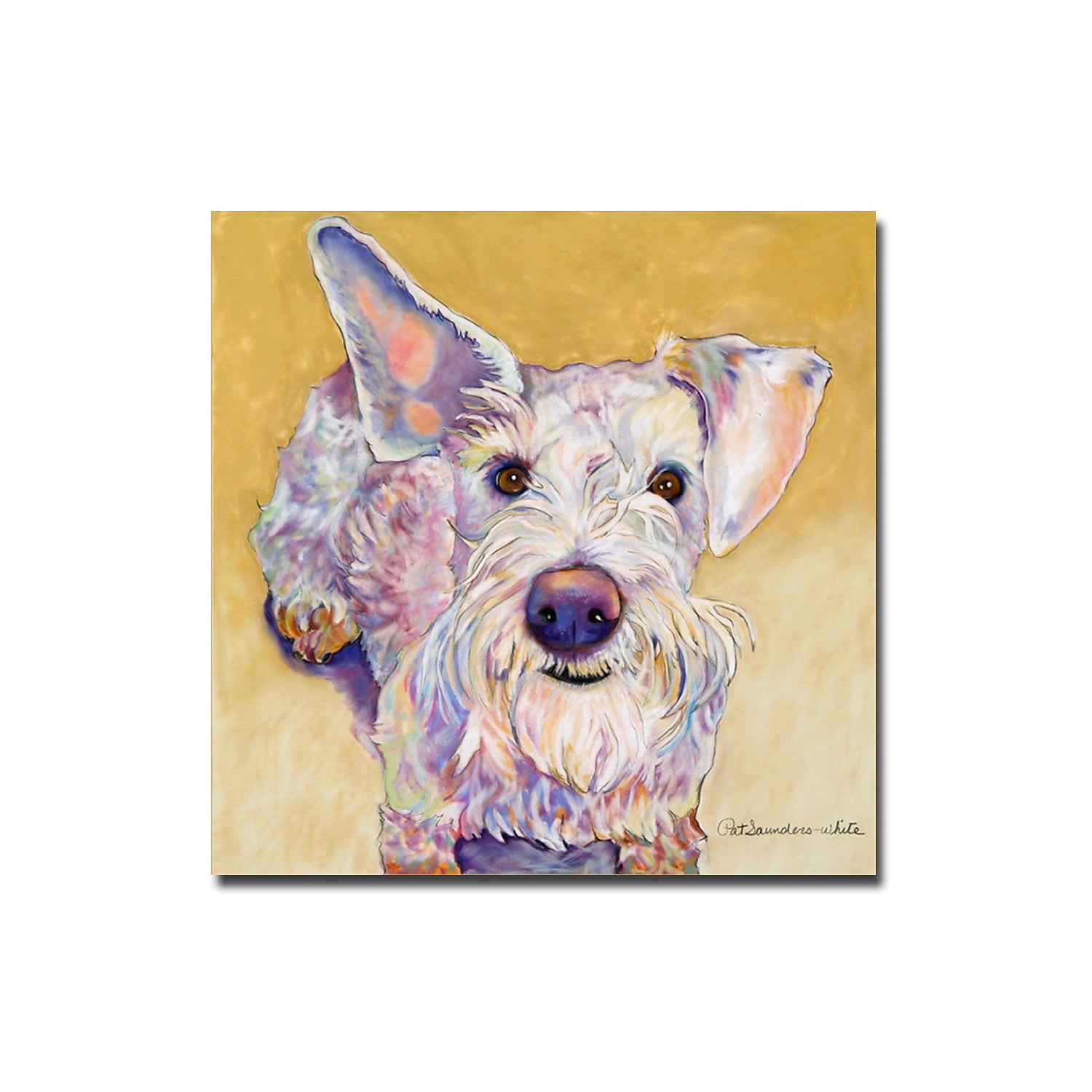 Trademark Art "Scooter" Canvas Wall Art by Pat Saunders-White