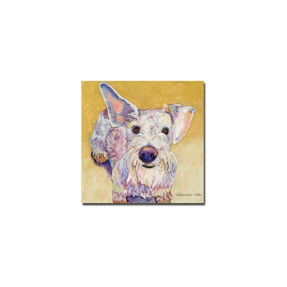 Trademark Art "Scooter" Canvas Wall Art by Pat Saunders-White