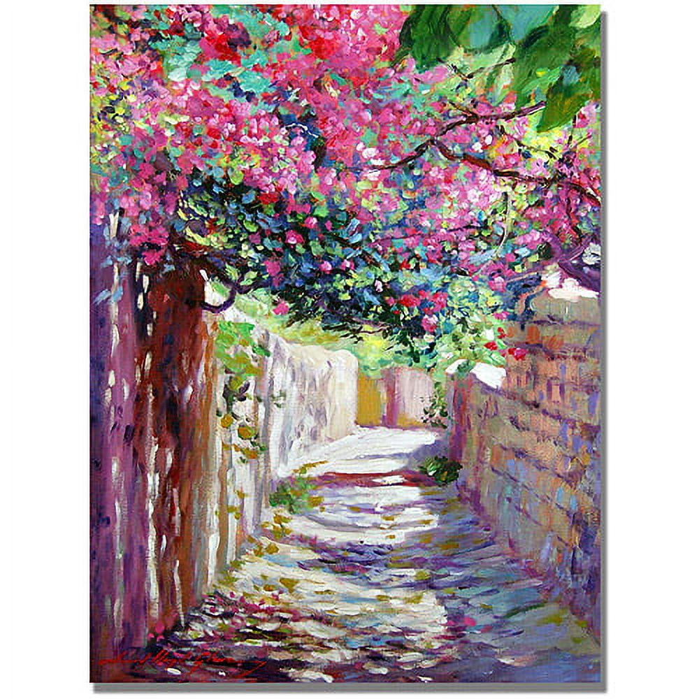 Trademark Art "Shady Lane Greece" Canvas Wall Art by David Lloyd Glover