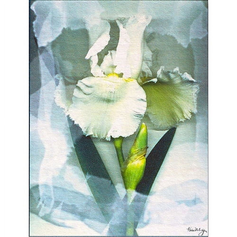Sheer White Iris Canvas Art with Frameless Presentation