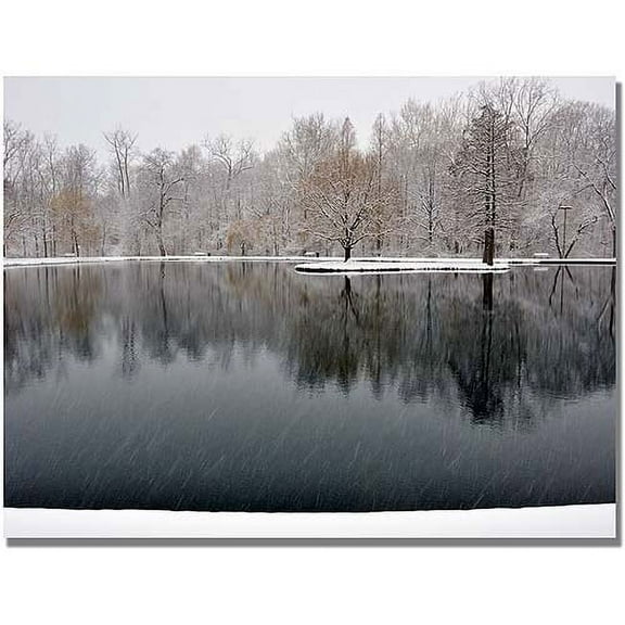 Trademark Art "Snowy Pond" Canvas Art by Kurt Shaffer