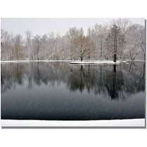Trademark Art "Snowy Pond" Canvas Art by Kurt Shaffer