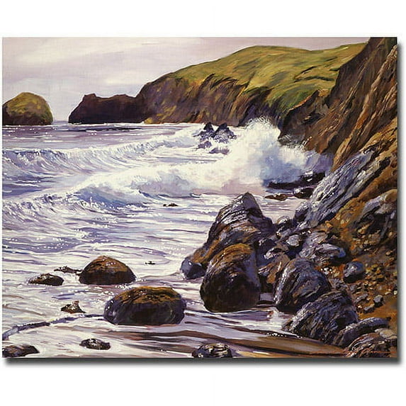 Trademark Art "Summer Sea" Canvas Wall Art by David Lloyd Glover