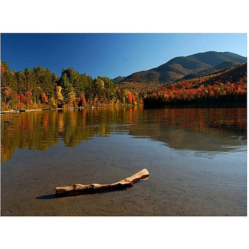 Trademark Art "The Adirondack Driftwood" Canvas Wall Art by Nicole Dietz