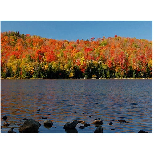 Trademark Art "The Adirondack Heart Lake" Canvas Wall Art by Nicole Dietz