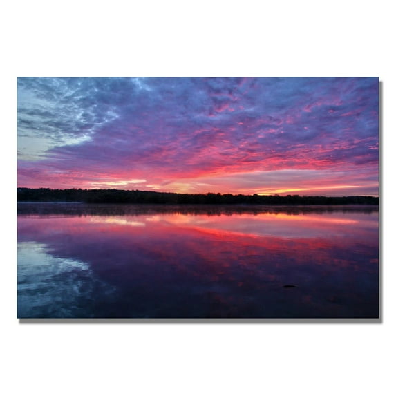 Trademark Art "The Mystery" Canvas Wall Art by CATeyes