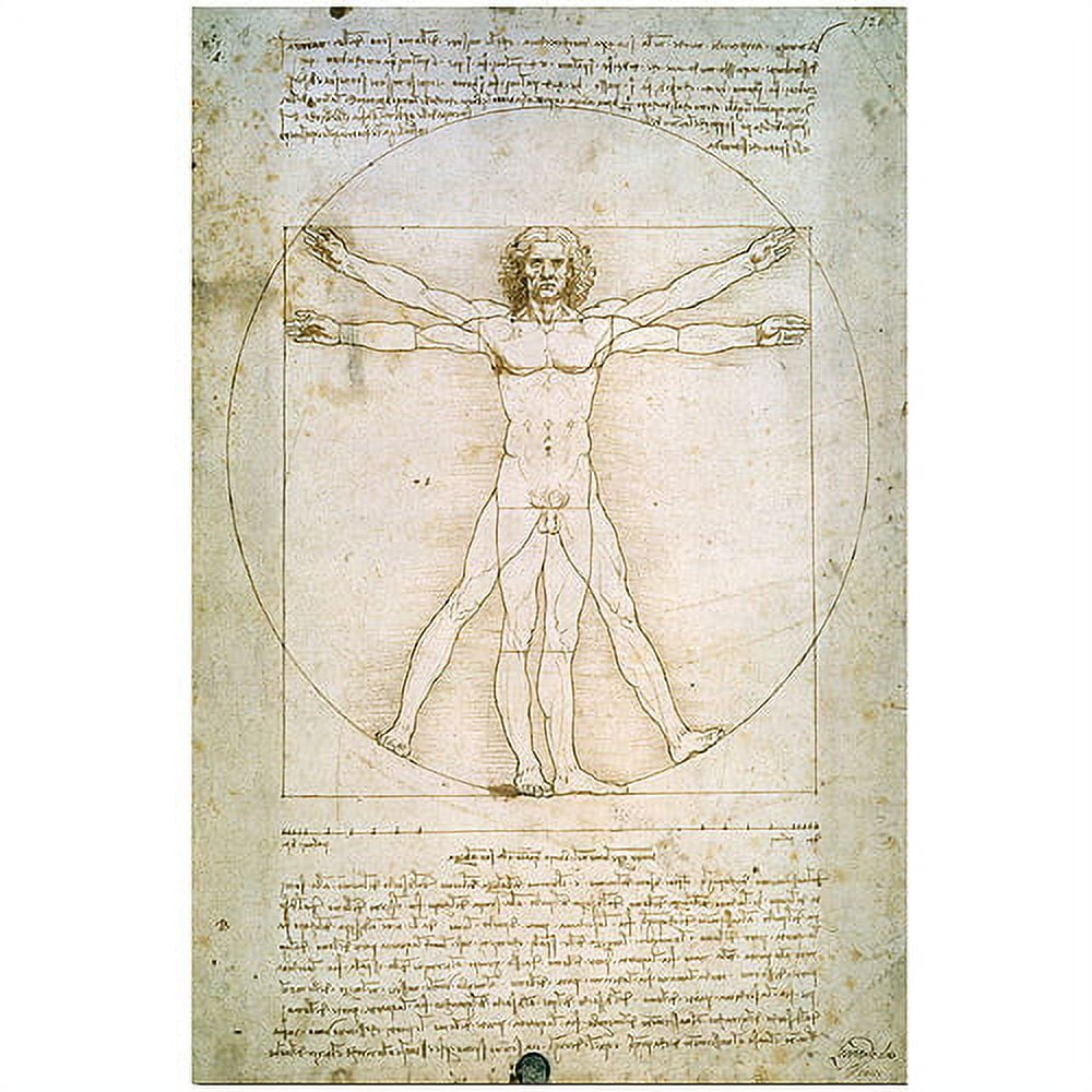 Leonardo Da Vinci Vitruvian Man Wrapped Canvas Art