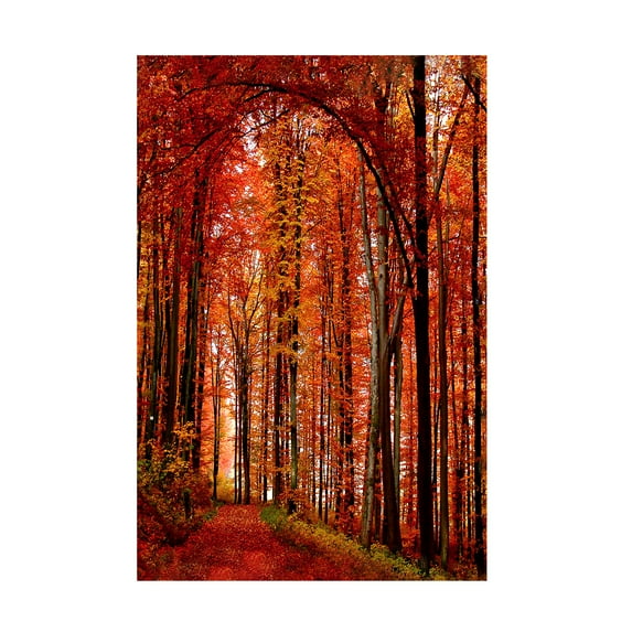 Trademark Fine Art Philippe Sainte-Laudy The Red Way Canvas Wall Art - 14x19