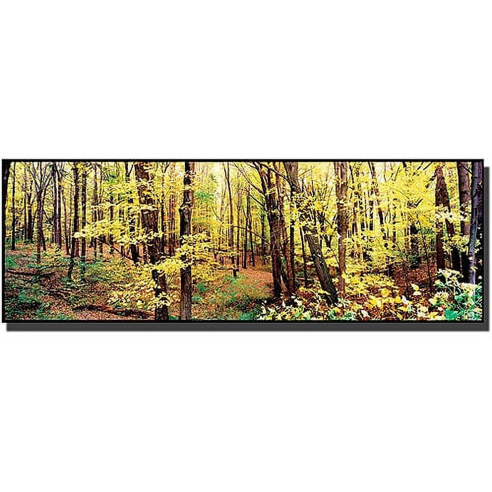 Yellow Forest Landscape Canvas Art with Wood Frame