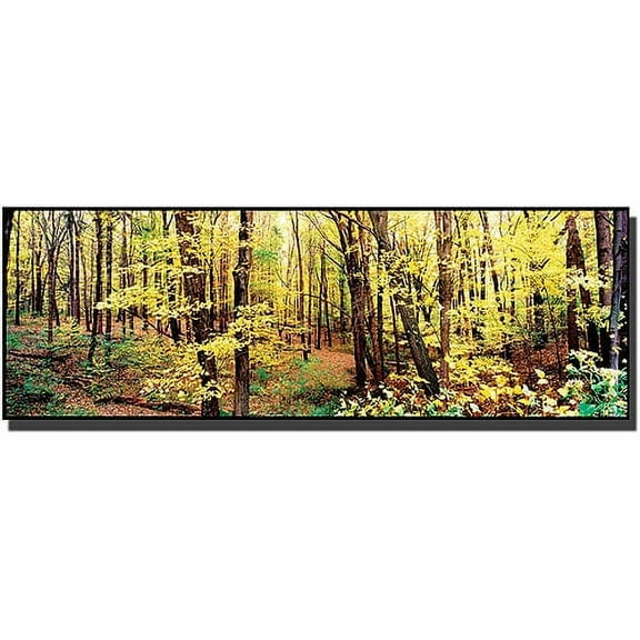 Trademark Art "Trees" Canvas Art by Preston