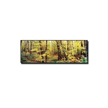 Trademark Art "Trees" Canvas Art by Preston