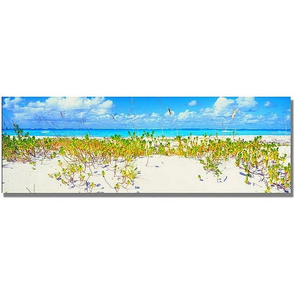 Trademark Art "Turks Beach" Canvas Wall Art by Preston
