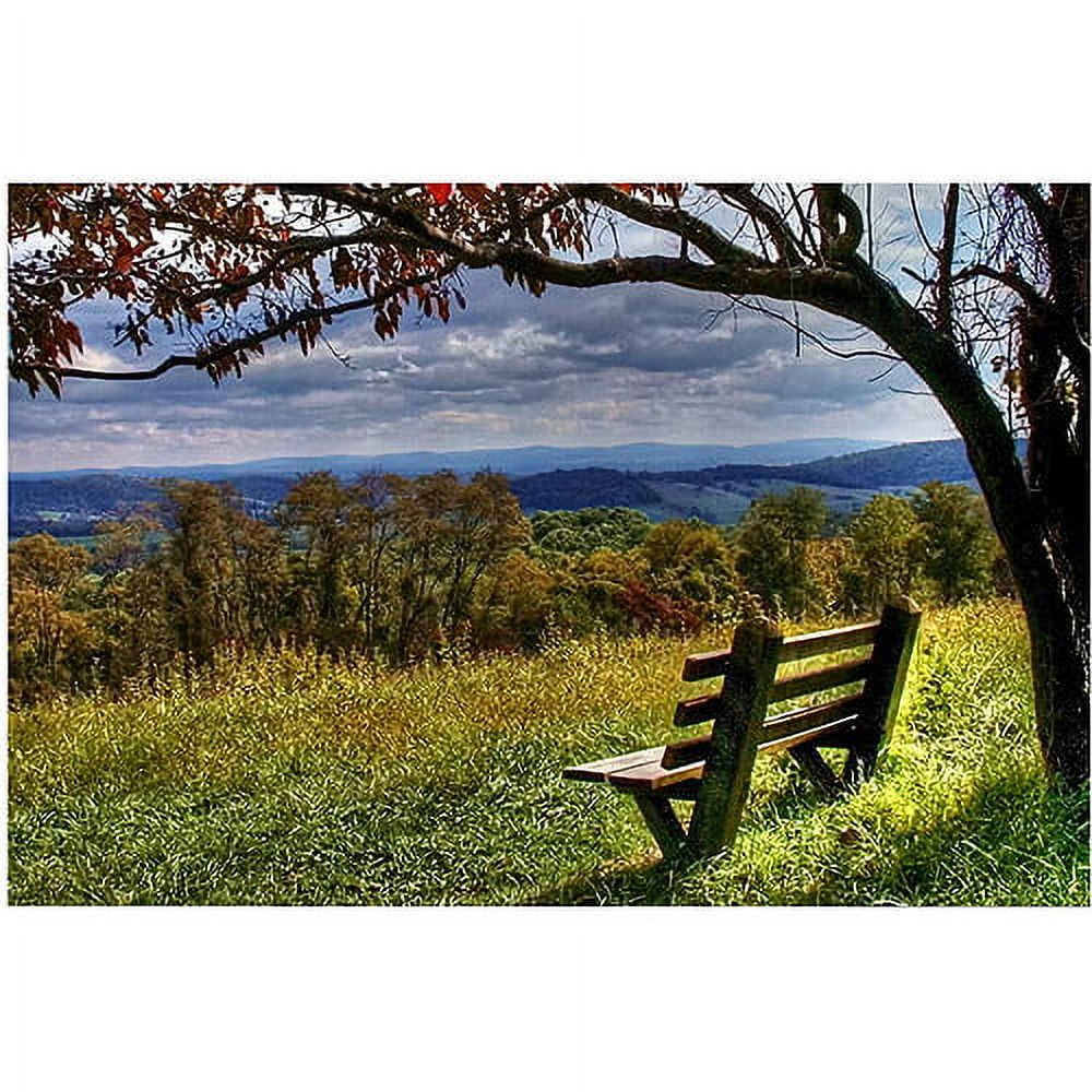 Trademark Art "Walk Alone" Canvas Art by CATeyes
