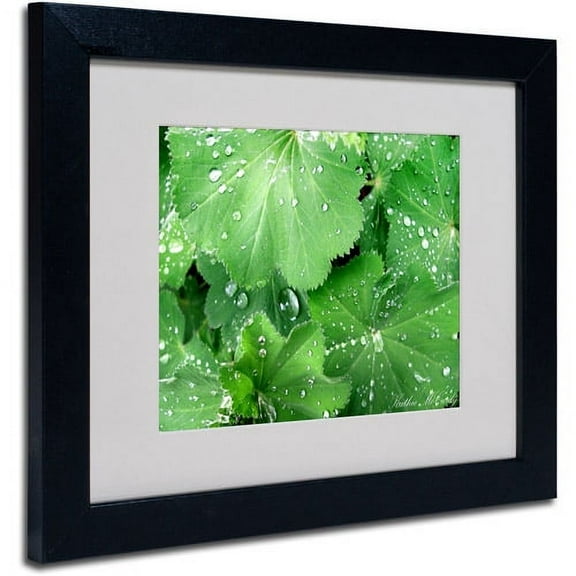Trademark Art 'Water Droplets' Matted Framed Art by Kathie McCurdy