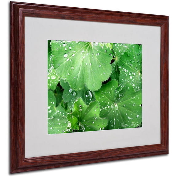 Trademark Art 'Water Droplets' Matted Framed Art by Kathie McCurdy