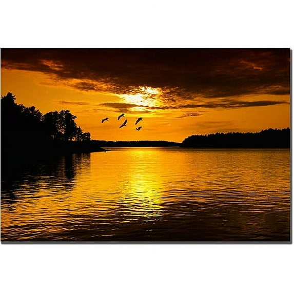 Trademark Art "White Fly" Canvas Art by Philippe Sainte-Laudy