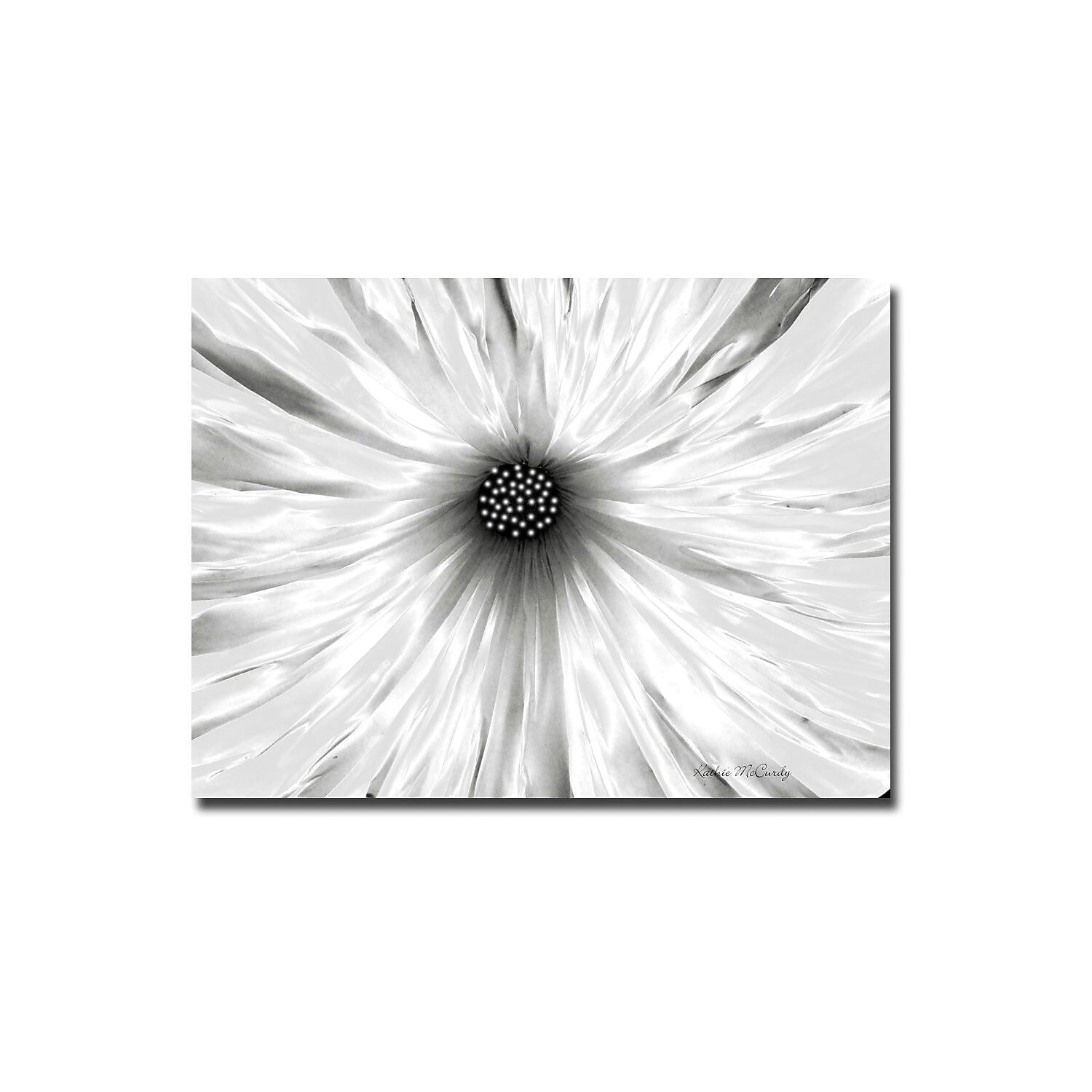 Trademark Art "White Garden" Canvas Art by Kathie McCurdy
