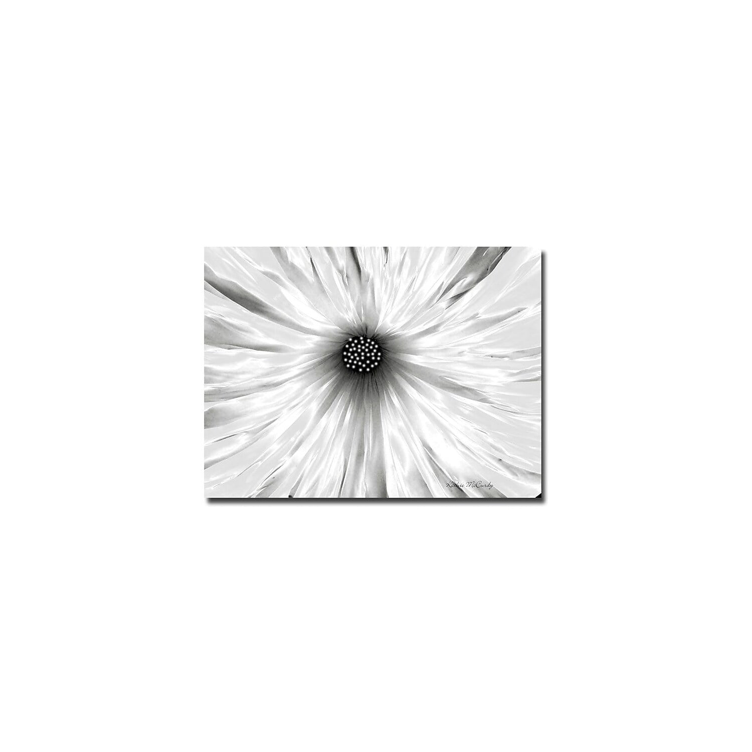 Trademark Art "White Garden" Canvas Art by Kathie McCurdy