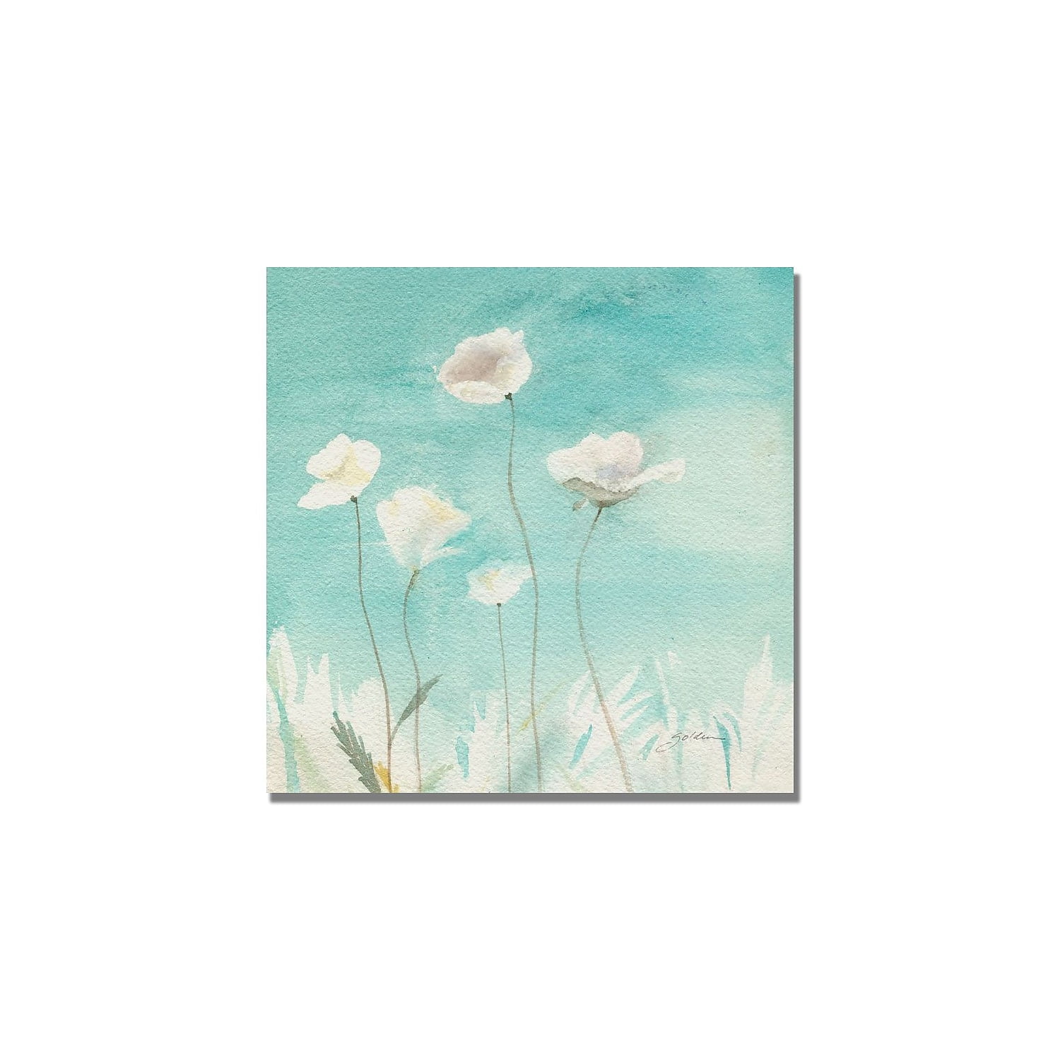 Trademark Art "White Poppies" Canvas Art by Shelia Golden