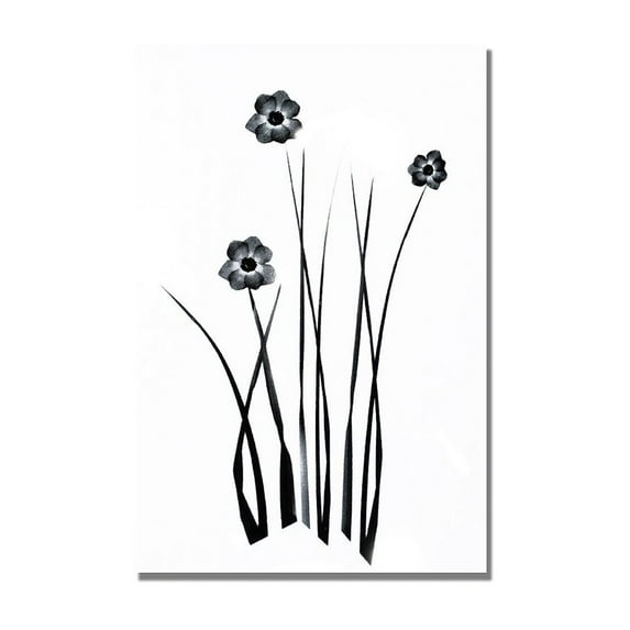 Trademark Art "White and Black Bunch" Canvas Wall Art by Kathie McCurdy