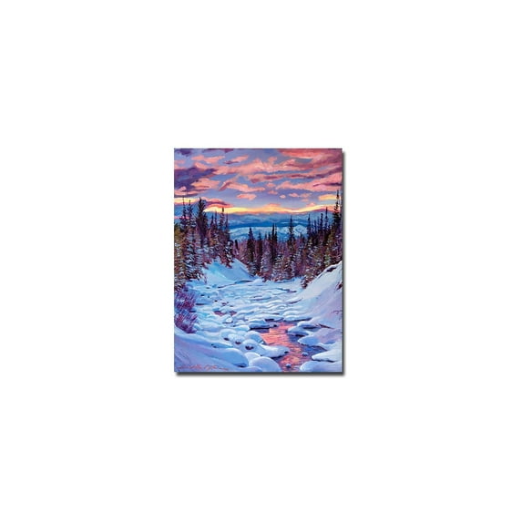 Trademark Art "Winter Solstice" Canvas Wall Art by David Lloyd Glover