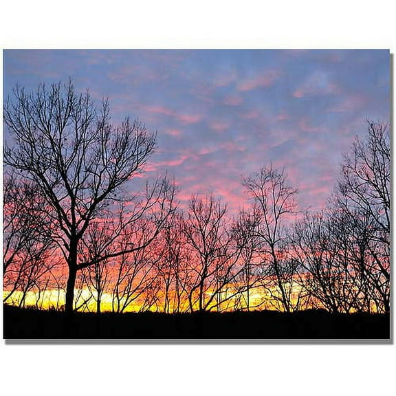 Trademark Art "Winter Sunset" Canvas Art by Kurt Shaffer