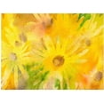 thumbnail image 1 of Trademark Art "Yellow Wildflowers" Canvas Wall Art by Shelia Golden, 1 of 2