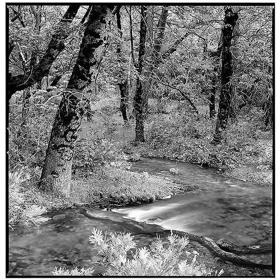 Trademark Art "Yosemite" Canvas Art by Preston