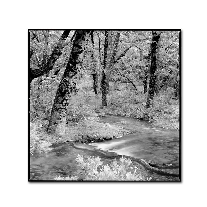 Trademark Art "Yosemite" Canvas Art by Preston