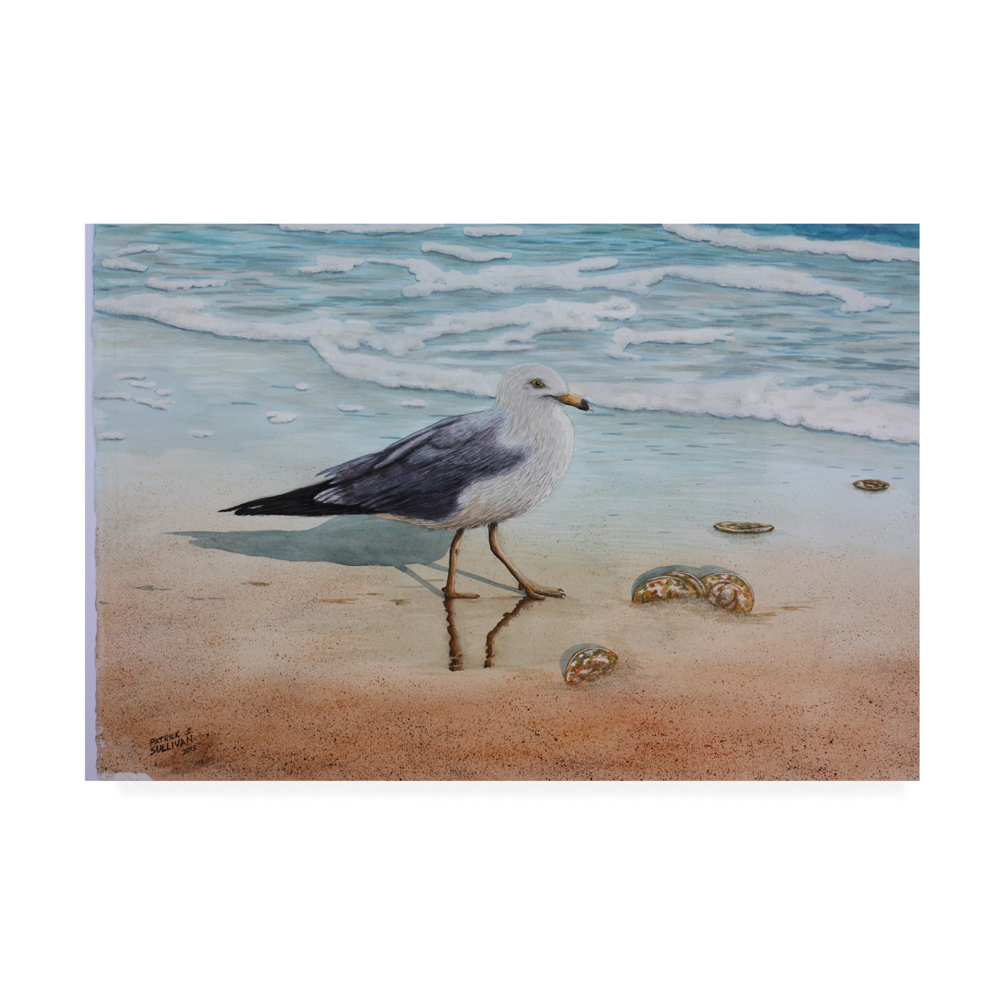 Trademark Fine Art '1 Seagull' Canvas Art by Patrick Sullivan