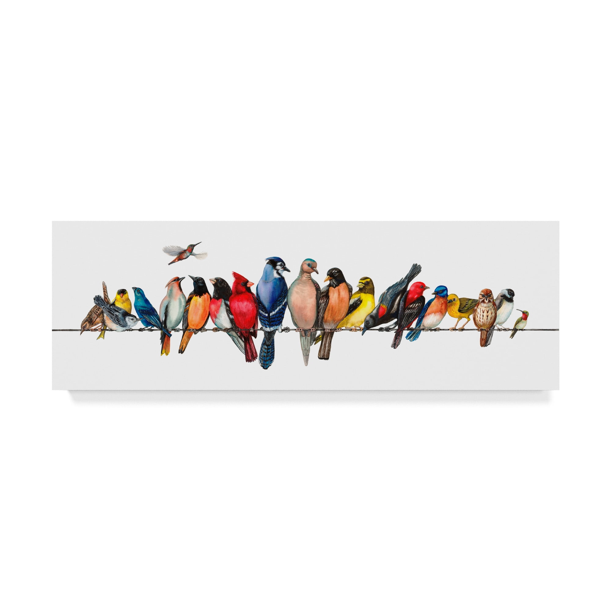 Large Bird Menagerie II Colorful Canvas Wall Art with Floater Frame