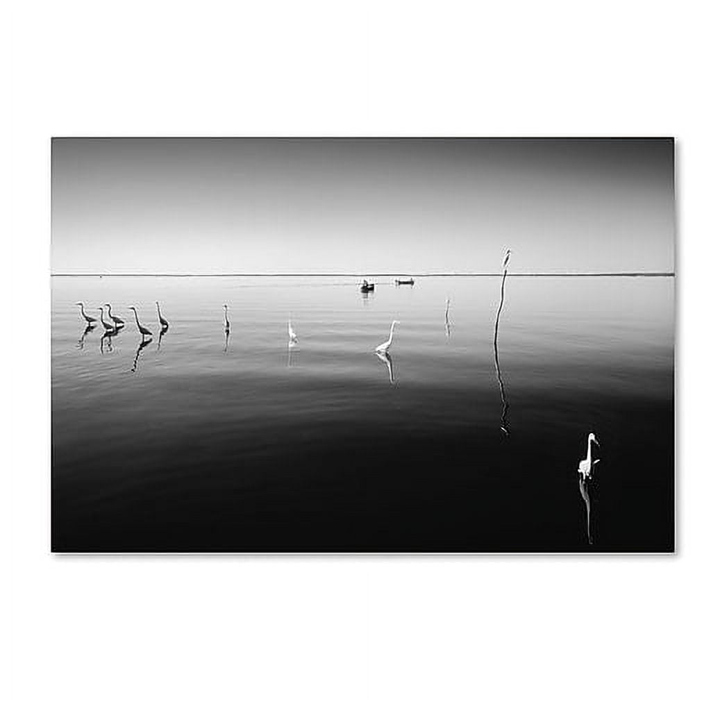 Trademark Fine Art "11 Herons" Canvas Art by Moises Levy